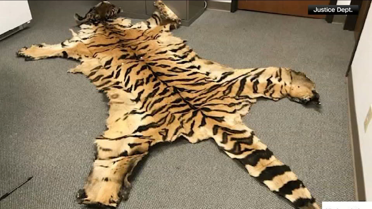 California couple pleads guilty to trafficking wildlife
       — Doylestown Community news